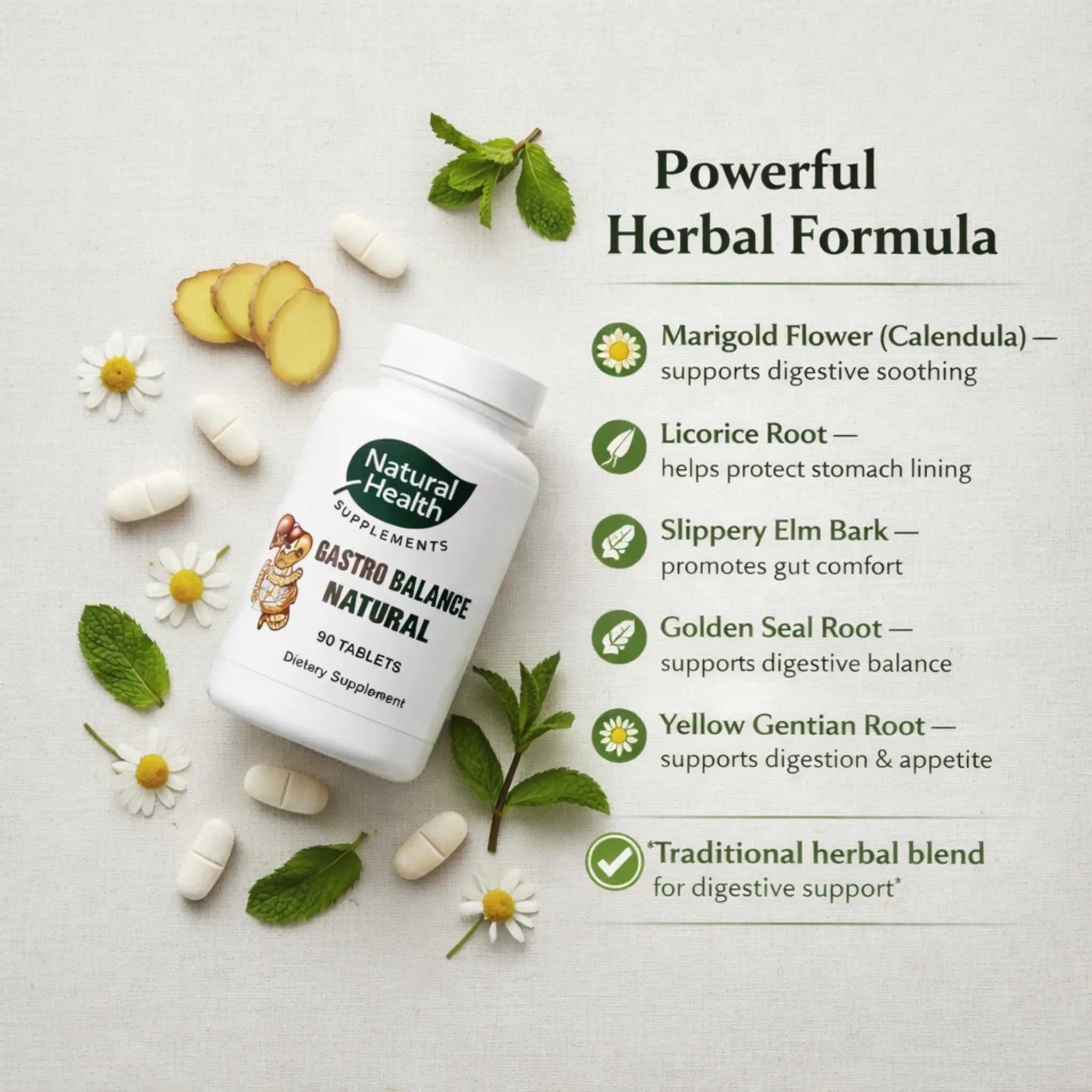 Gastro Balance Natural, 90 Tablets